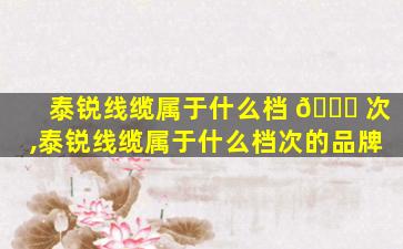 泰锐线缆属于什么档 🐟 次,泰锐线缆属于什么档次的品牌